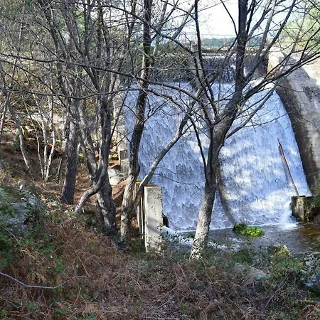 Vilajubi Ii *